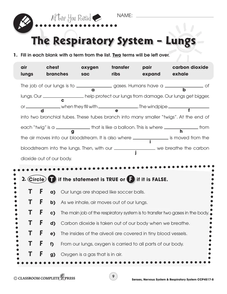 Lungs comprehension: students fill a cloze paragraph from a 12-term word bank, then mark seven statements true or false