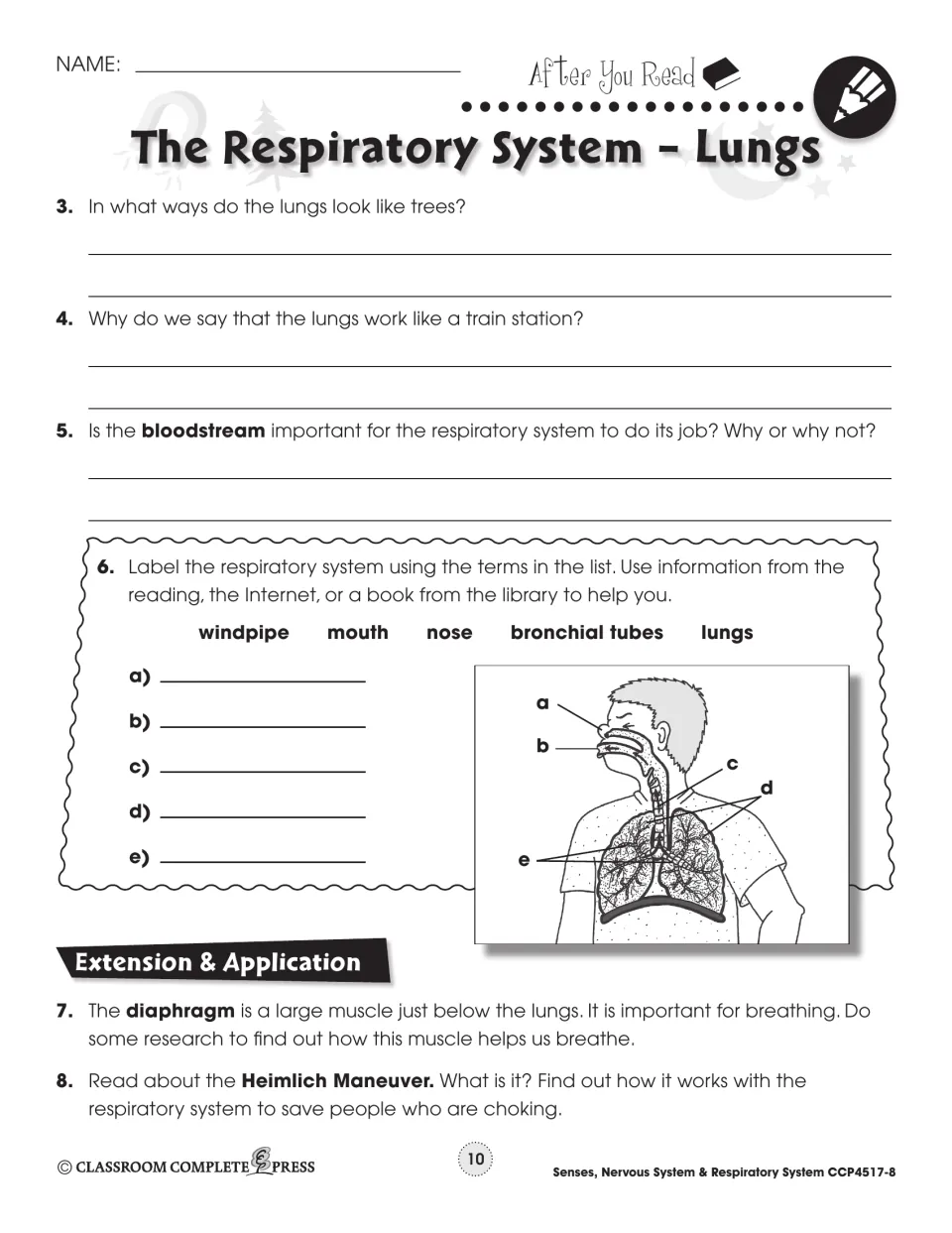 Lungs follow-up: short answers, labeling a respiratory system diagram, and research on the diaphragm and Heimlich maneuver