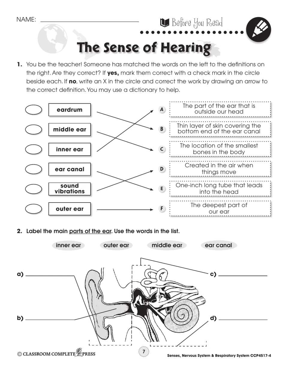 Before You Read: correct matched ear terms like eardrum and inner ear, then label four parts on an ear diagram