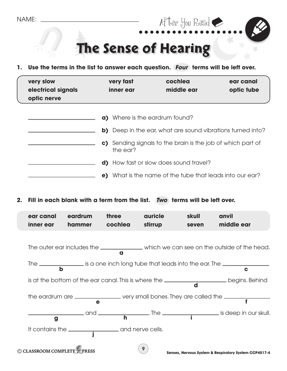 After You Read 1–2: five questions from a term list and a fill-in passage using eardrum, stirrup, cochlea and more
