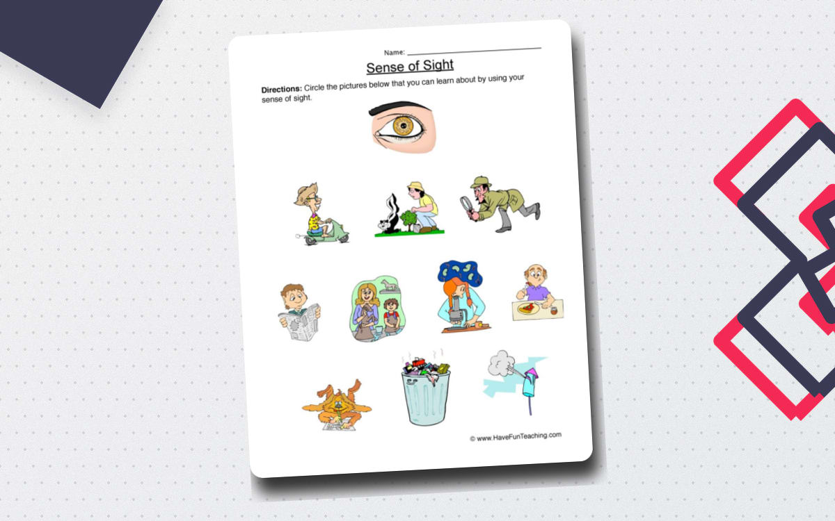 Sense of Sight worksheet with picture choices and a large eye illustration.