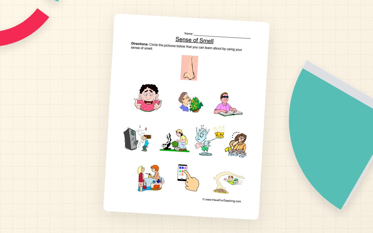Sense of Smell worksheet with picture choices for identifying things that can be smelled.