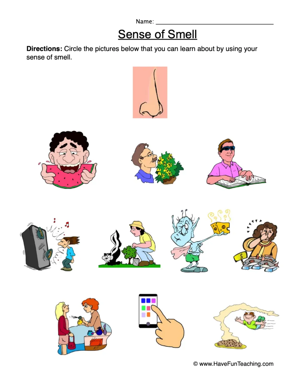 Sense of Smell: students circle pictures they learn about by smelling, such as flowers, a skunk, cheese, fish and cookies