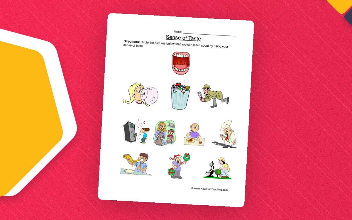 Senses Taste Worksheet worksheet page with the activity title and student response area.