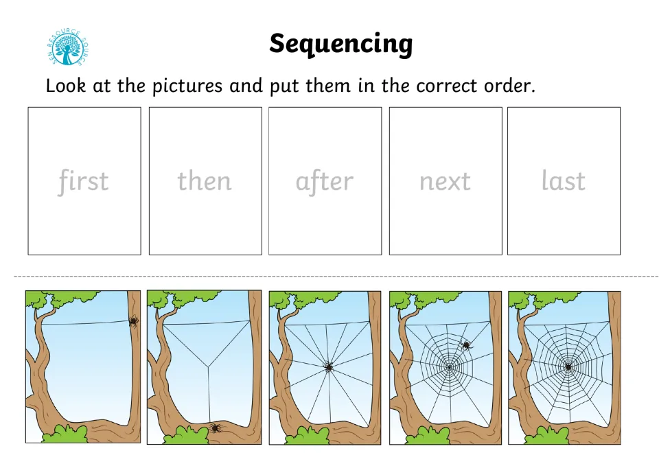 Spider building a web: students order five pictures under first, then, after, next and last as the web is spun