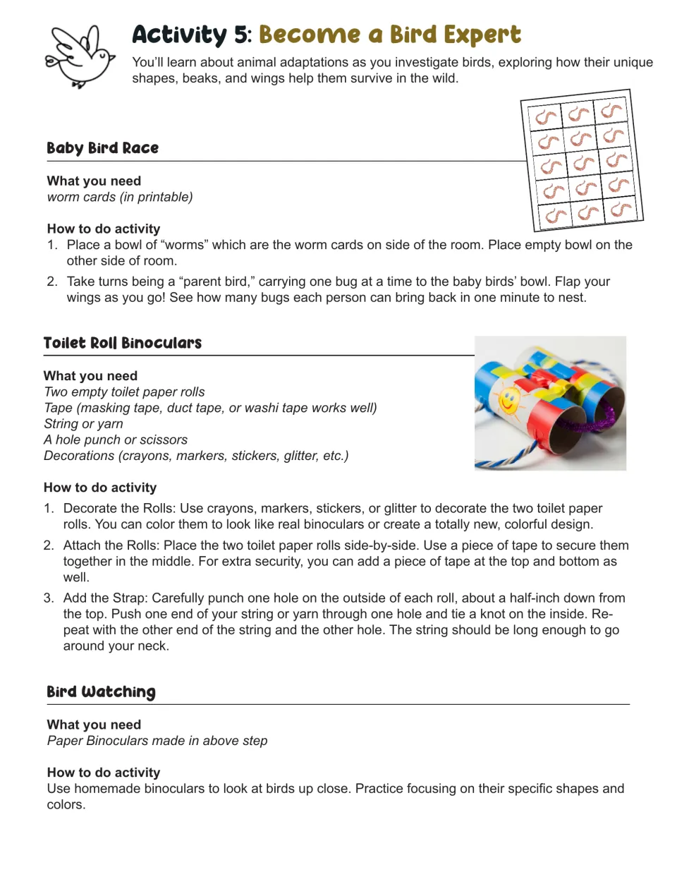 Activity 5 bird exploration directions include a baby bird race, toilet roll binoculars, and bird watching