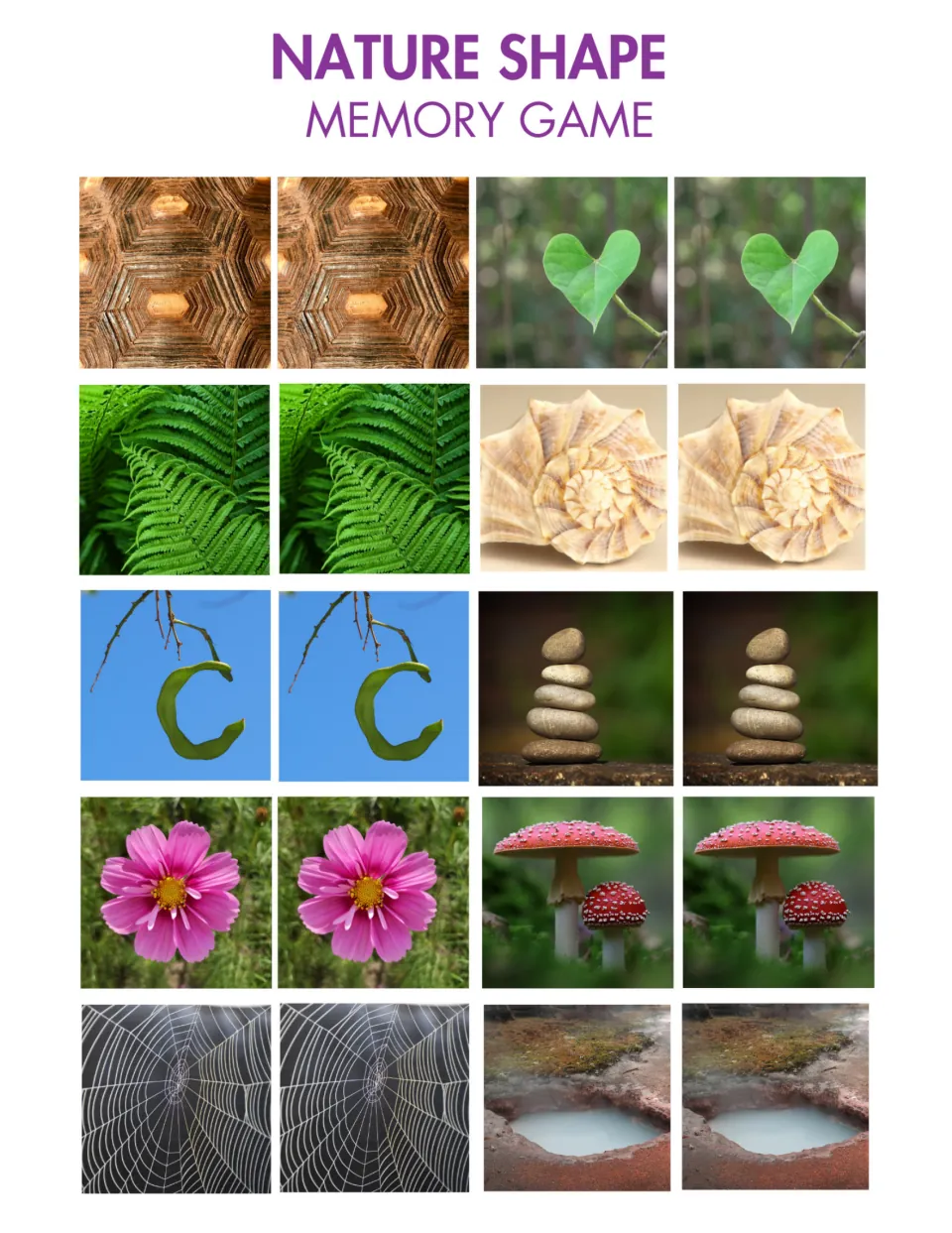 Nature Shape Memory Game sheet has 20 photo cards in 10 pairs, including leaves, shells, rocks, and spiderwebs