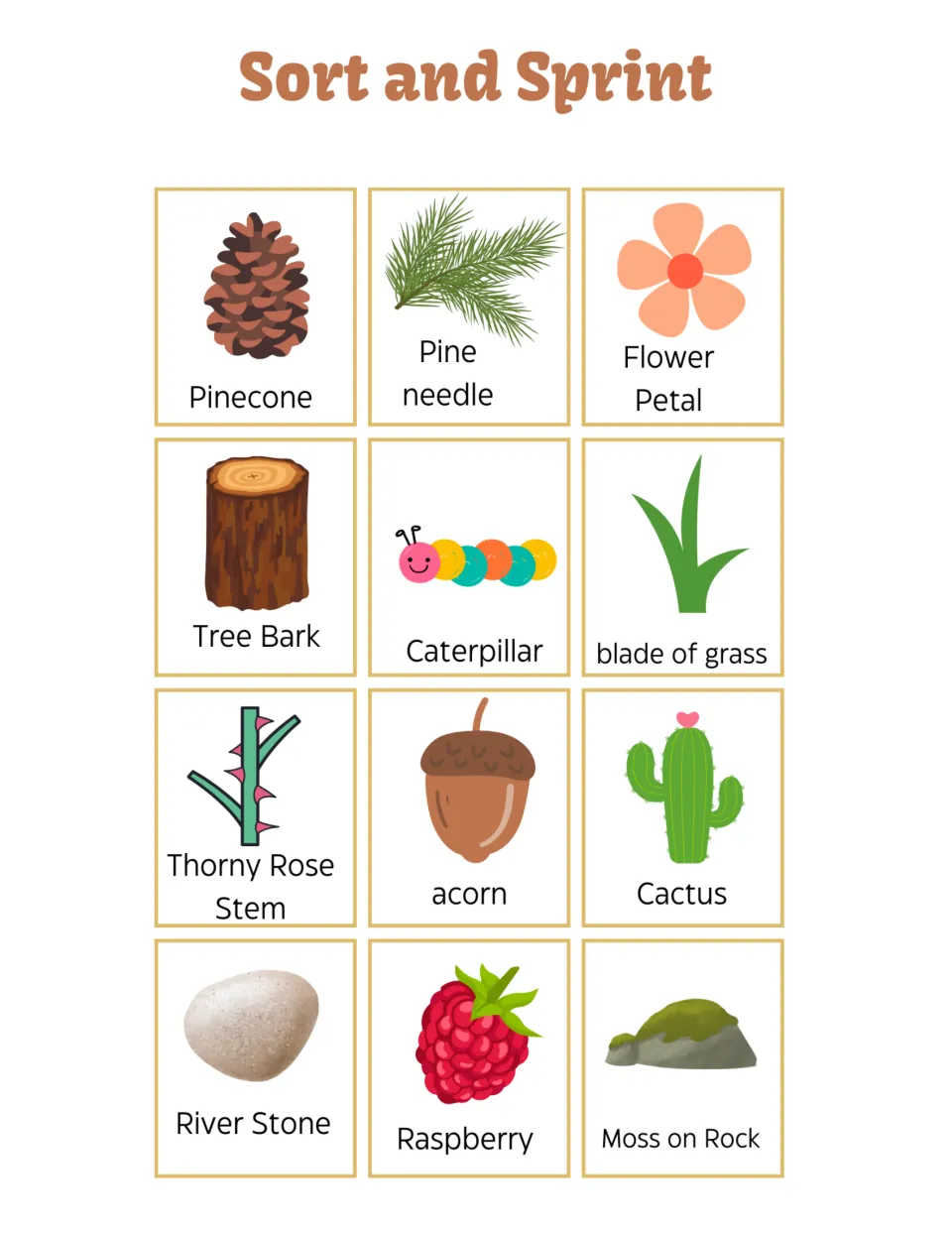 Sort and Sprint has 12 nature-object cards for texture sorting, including pinecone, tree bark, acorn, and cactus