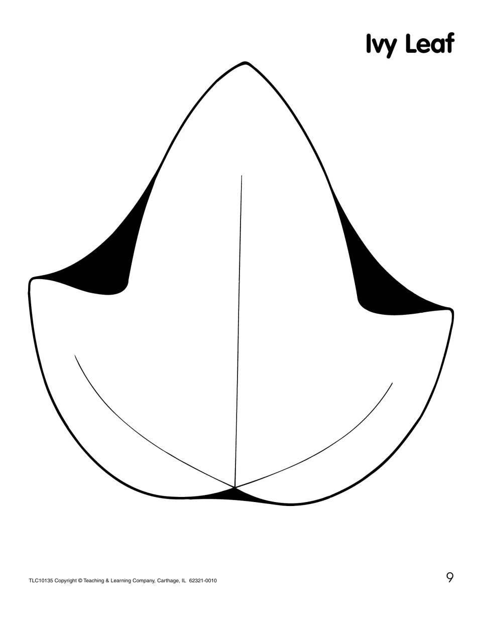 Ivy Leaf pattern: one large three-pointed ivy leaf with a center vein, a simple outline for early scissor practice