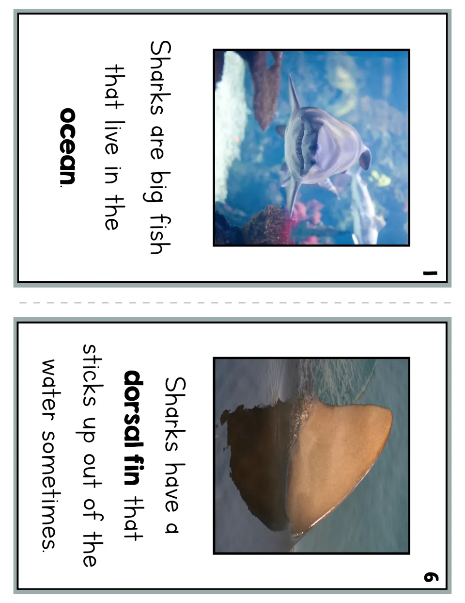 Reader pages 1 and 6 introduce sharks as ocean fish and describe a dorsal fin sticking out of the water