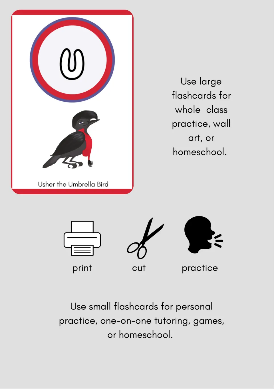 How-to-use guide: large cards for whole class practice or wall art, small cards for personal practice, tutoring and games