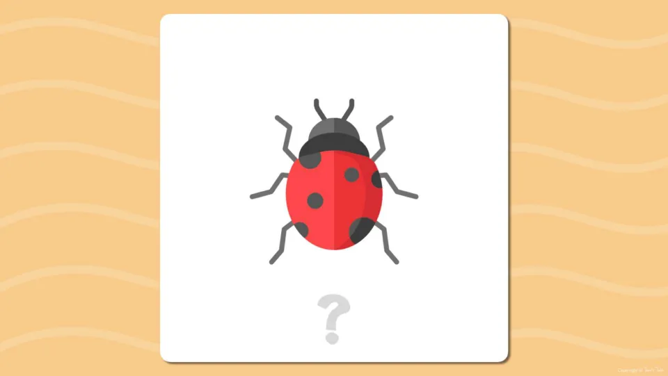 First short u flashcard prompt shows a ladybug and a question mark for students to name before the reveal