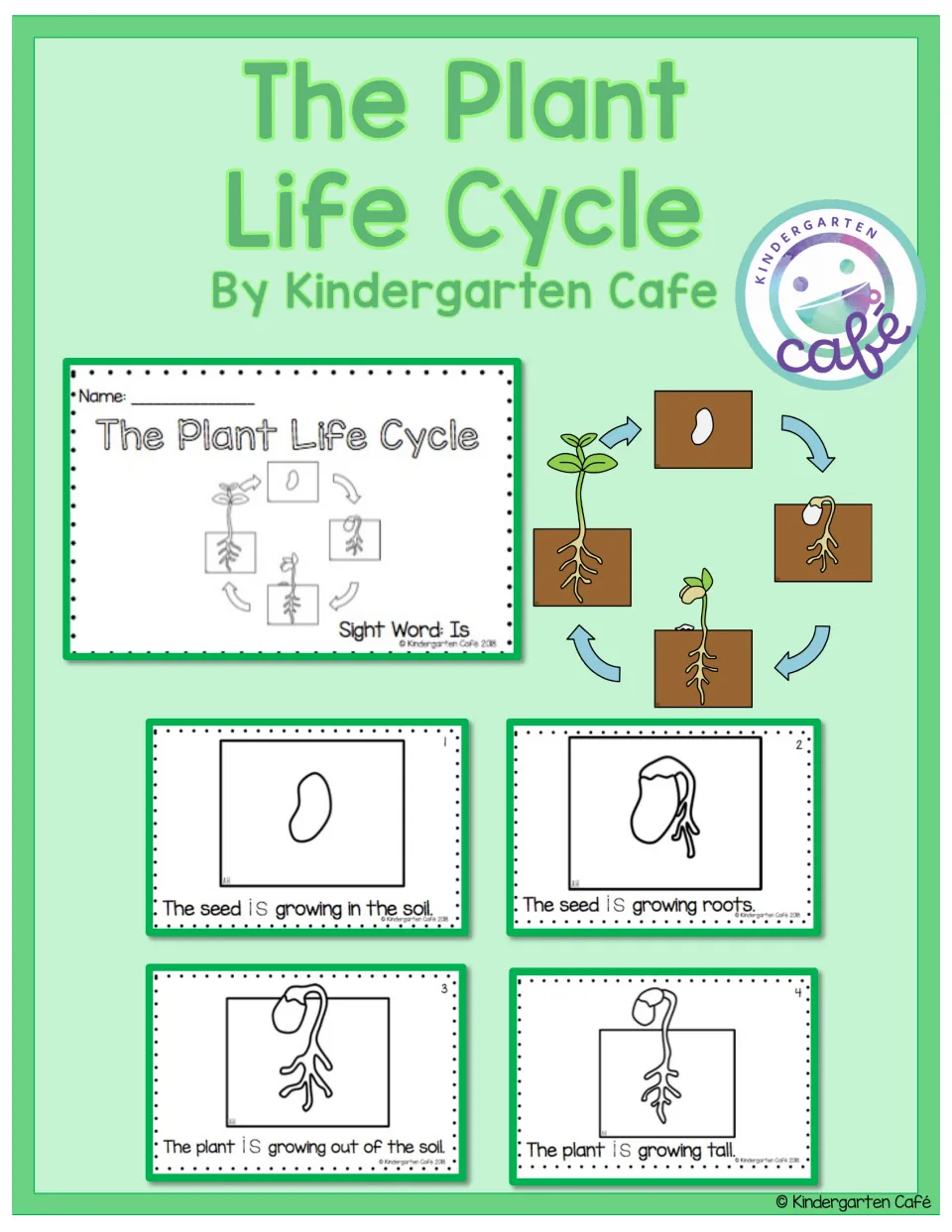 Booklet preview for The Plant Life Cycle, showing the reader cover, sample reading pages, and growth stages