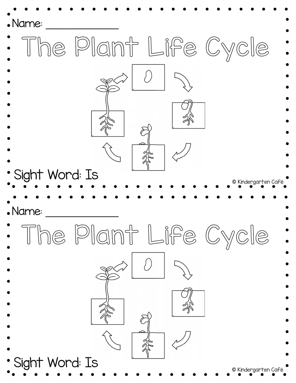 Two copies of the booklet cover show a plant life cycle diagram and identify the focus sight word as "Is"