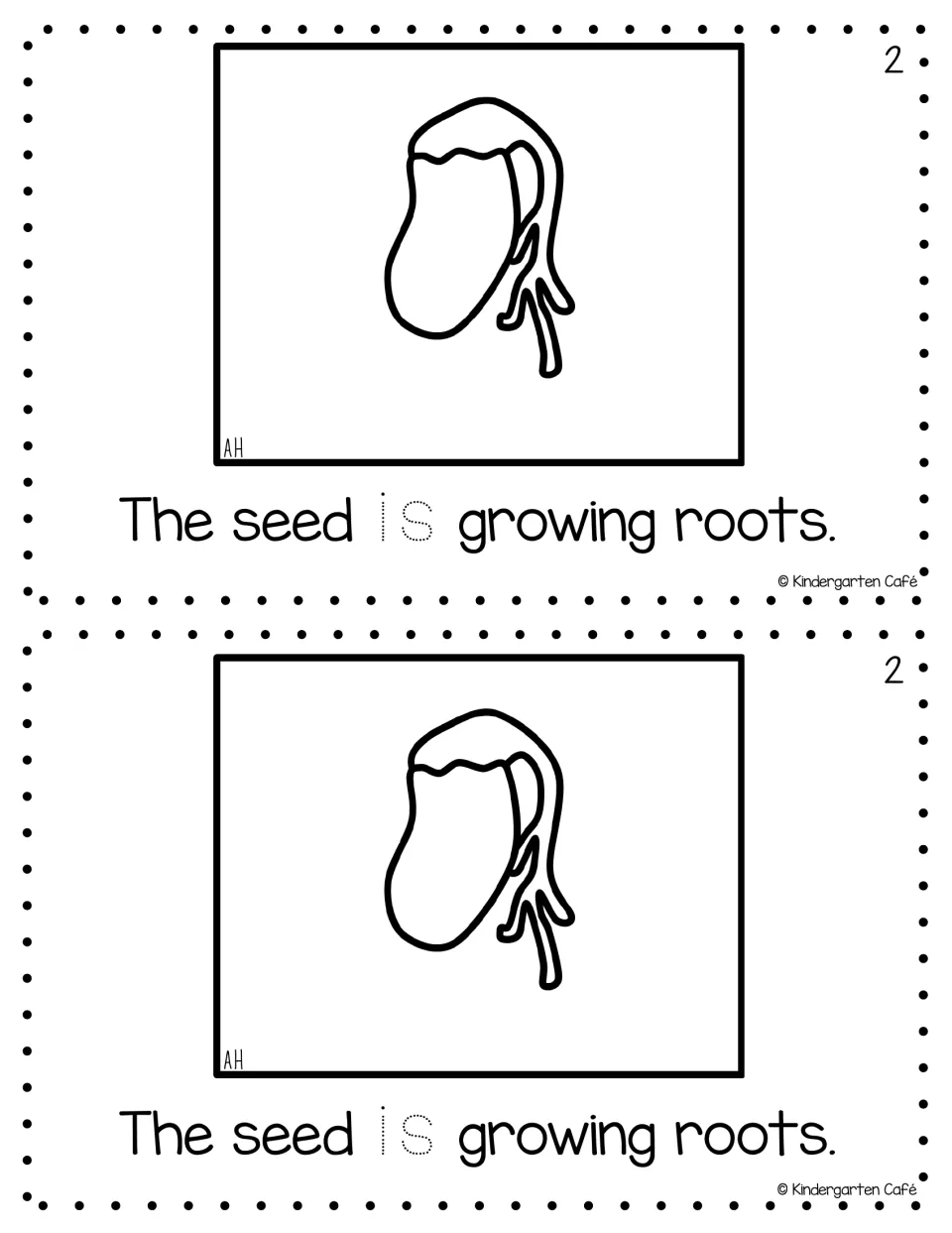 Reader page 2, printed twice: "The seed is growing roots," with a sprouting seed and traceable "is"