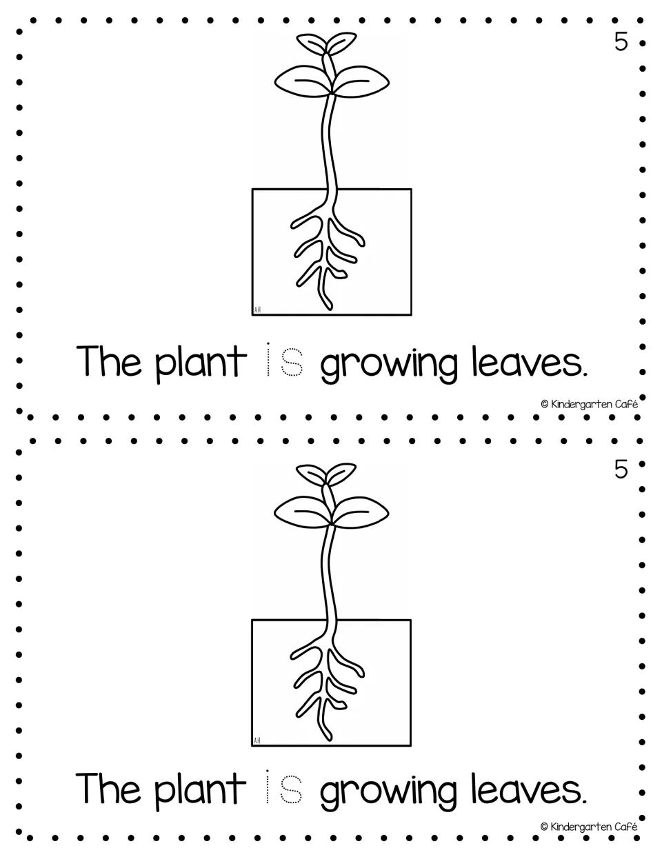Reader page 5, printed twice: "The plant is growing leaves," with a leafy plant and traceable "is"