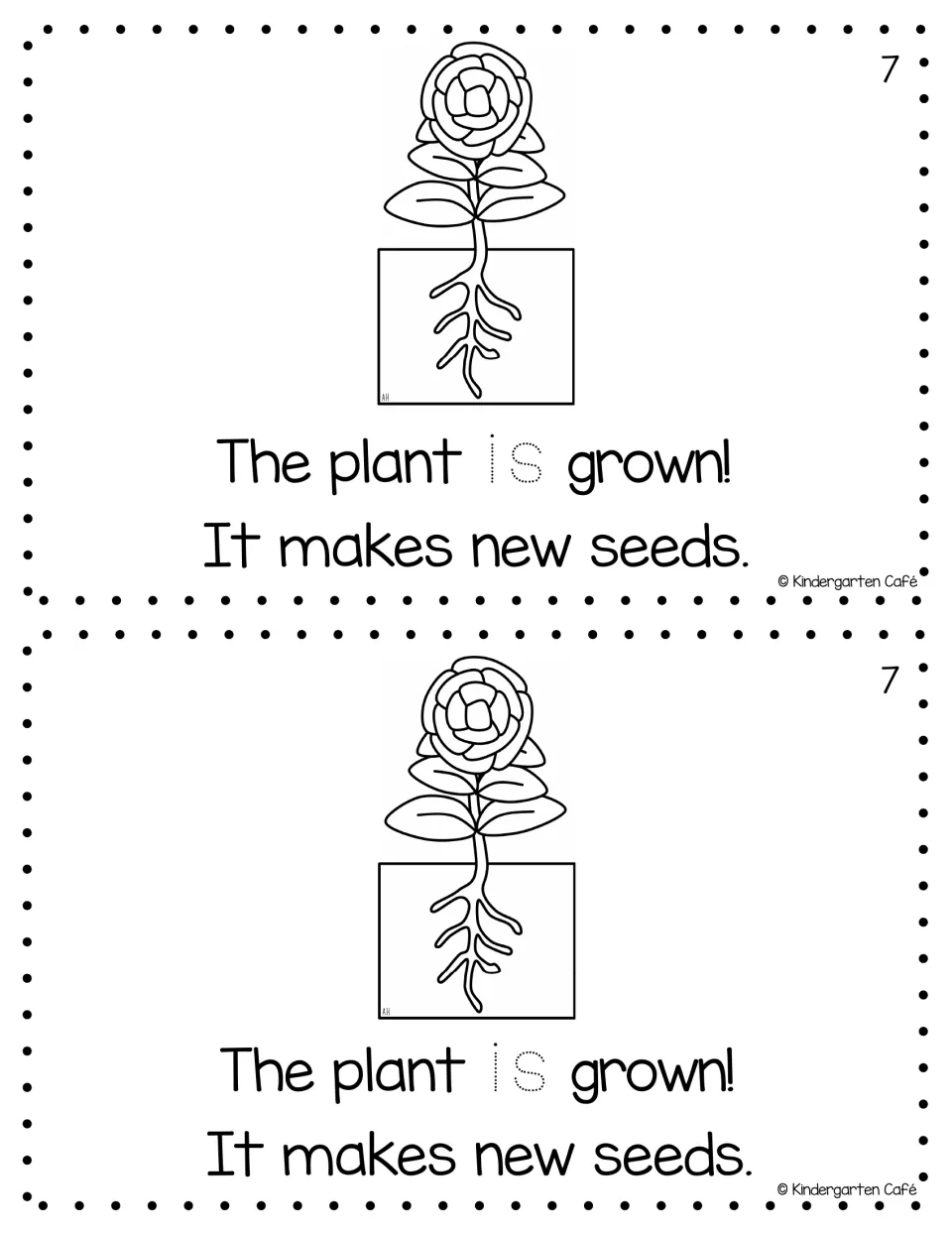 Reader page 7, printed twice: "The plant is grown! It makes new seeds," with a mature flowering plant