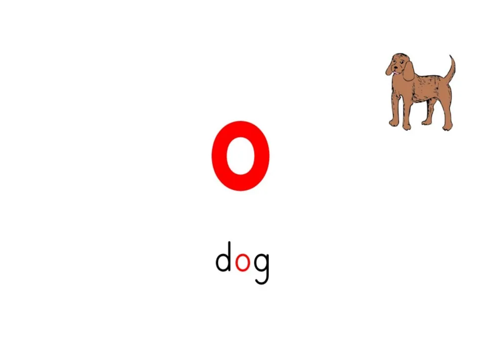 Short-vowel flashcard for o shows the letter o and the word dog, with a dog picture as the sound cue
