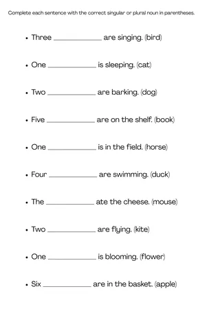 singular and plural nouns worksheet grade 5 with answers – sample page 4