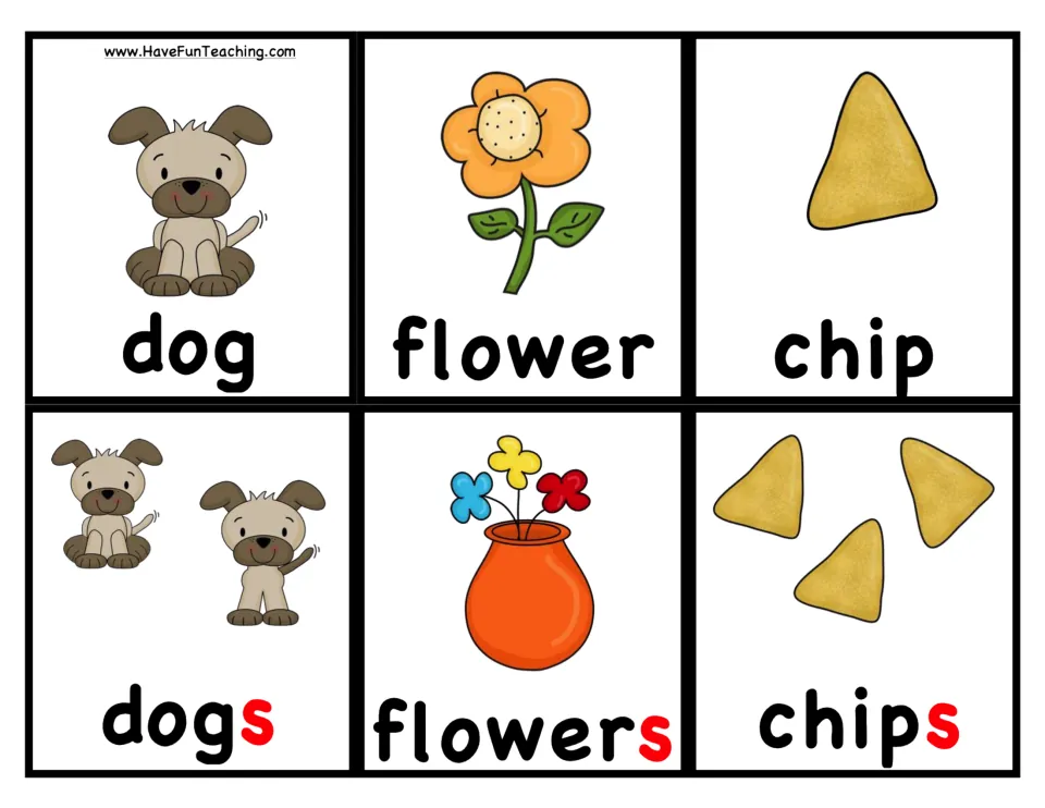 Noun picture cards: dog, flower and chip with matching plural cards dogs, flowers and chips marked with a red -s