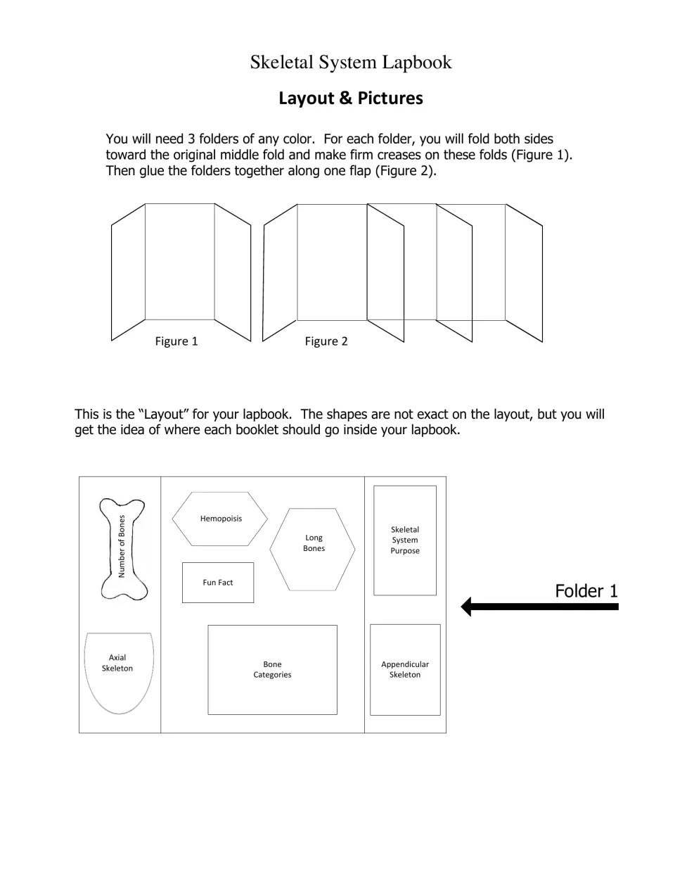 Lapbook layout for Folder 1: fold and glue three folders, then place booklets like Long Bones and Axial Skeleton