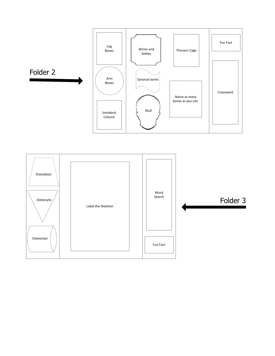Lapbook layout for Folders 2 and 3: where booklets such as Skull, Synovial Joints, Osteocyte and Word Search are glued