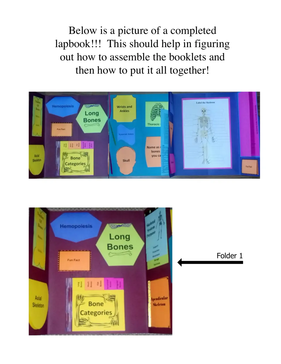 Photos of a completed Folder 1 with colorful Hemopoiesis, Long Bones and Bone Categories booklets glued inside