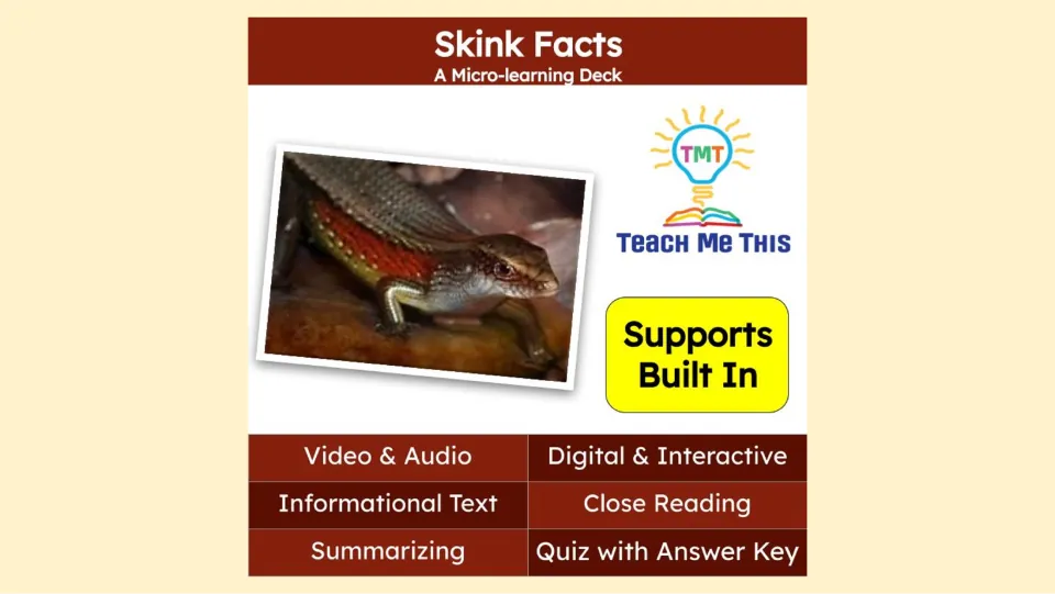 Skink Facts cover introduces a micro-learning deck with video, audio, informational text, and a quiz.