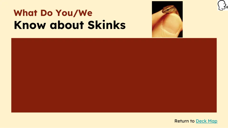 Prior-knowledge slide asks 'What Do You/We Know about Skinks' and provides an empty area for responses.