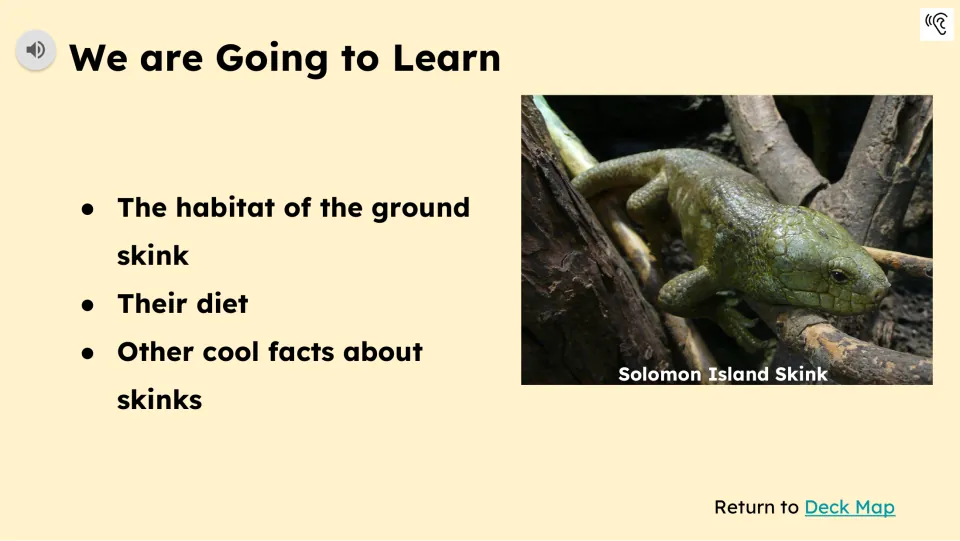Learning goals introduce ground skink habitat, diet, and other facts beside a labeled Solomon Island skink.