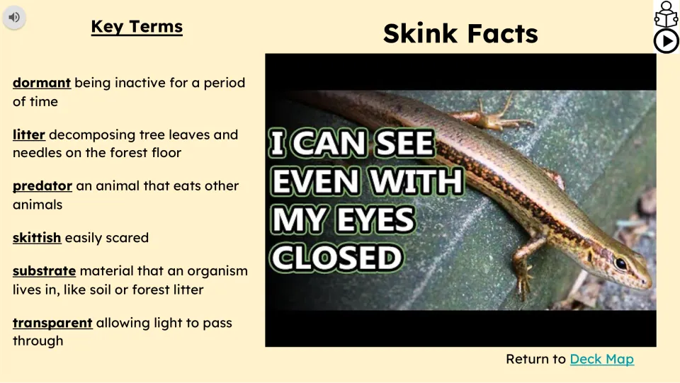 Vocabulary and video slide defines dormant, litter, predator, skittish, substrate, and transparent.