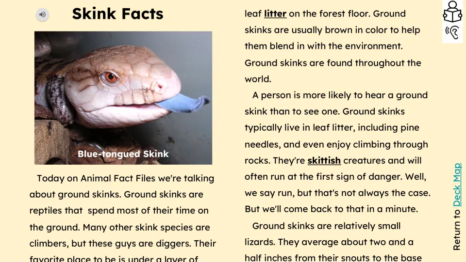 Reading passage opening describes ground skinks as digging reptiles that live in leaf litter and are skittish.