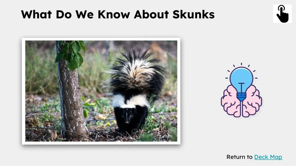 Prior-knowledge slide pairs 'What Do We Know About Skunks' with a skunk photograph and a touch icon.