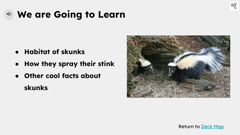 Learning preview names skunk habitats, how skunks spray their stink, and other facts, with audio support.