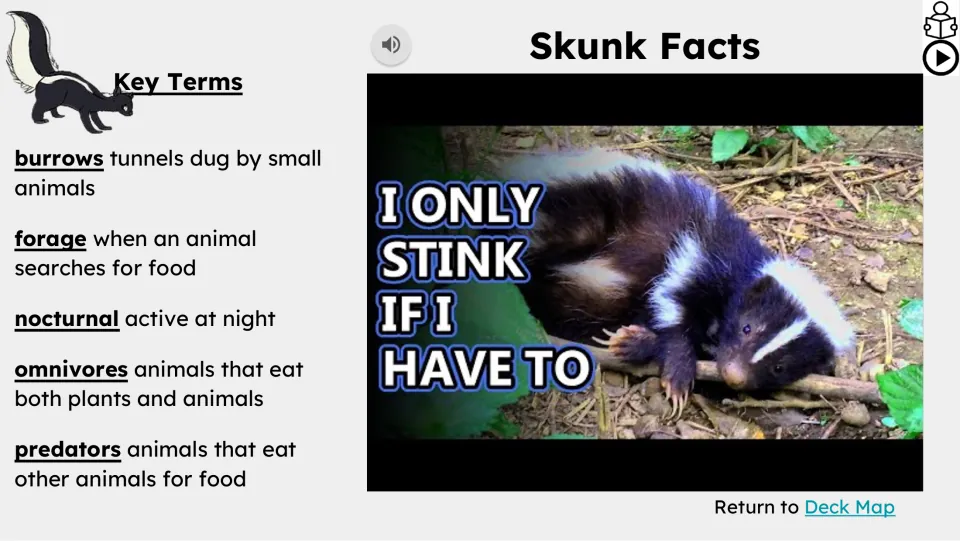 Video lesson defines burrows, forage, nocturnal, omnivores, and predators beside a skunk video still.