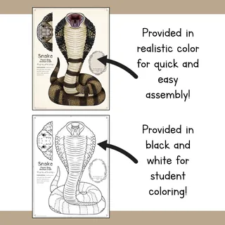 Snake | Paper Bag Puppet | Printable Craft – sample page 2