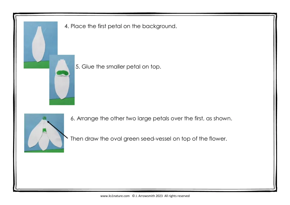Snowdrop craft steps 4-6: glue the first petal, add the inner petal, layer two more and draw the green seed-vessel