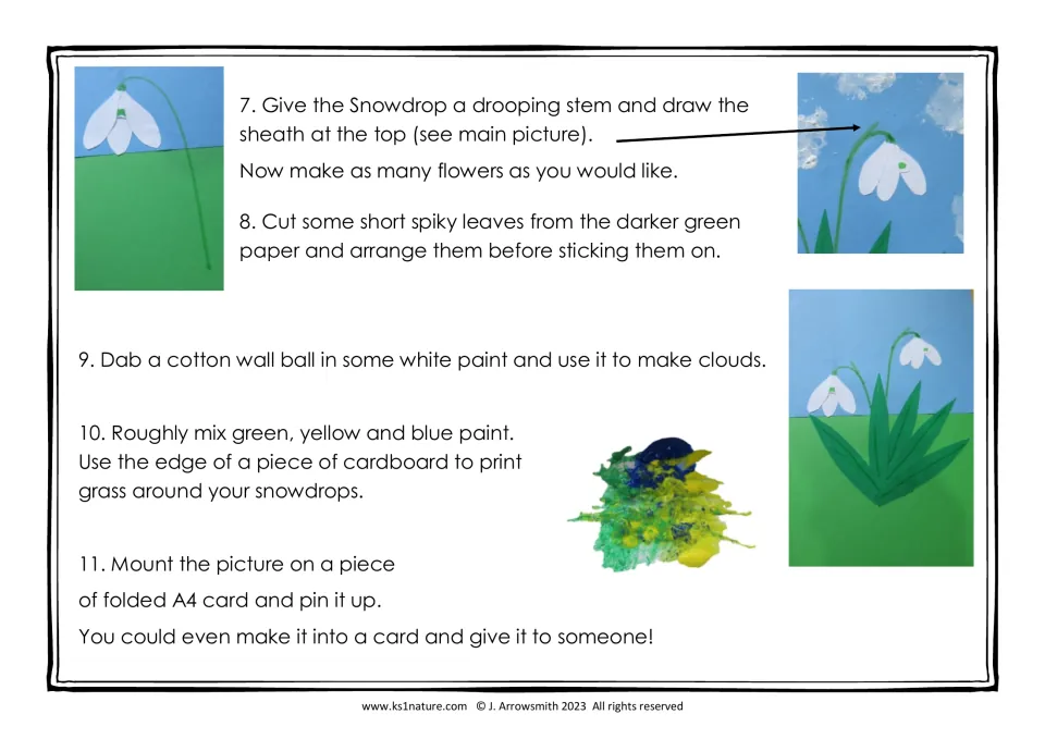 Snowdrop craft steps 7-11: draw drooping stems, stick spiky leaves, dab cotton wool clouds, print grass and mount it