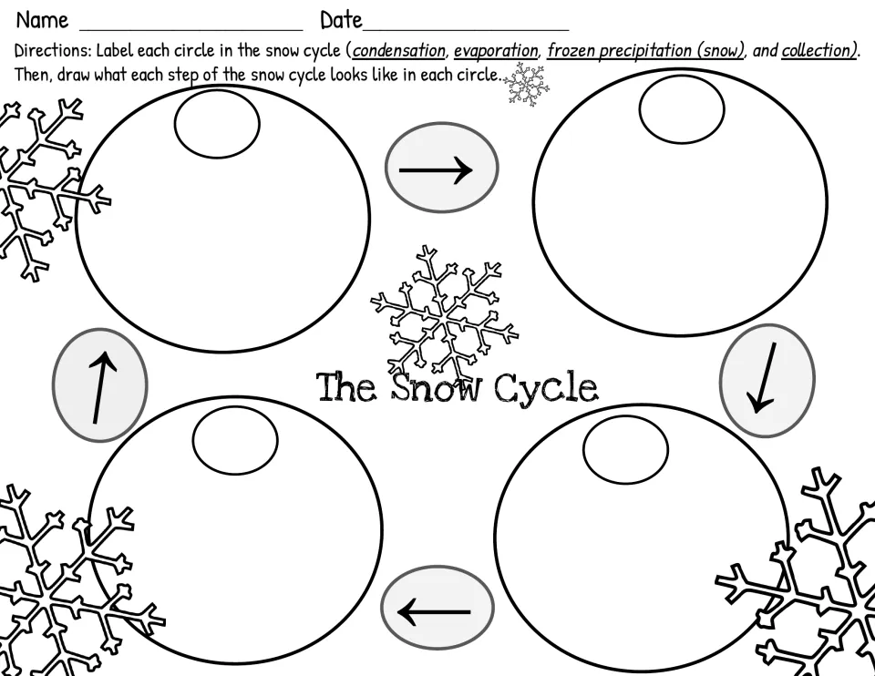 Snow cycle drawing worksheet asking students to label and illustrate four stages, including frozen precipitation
