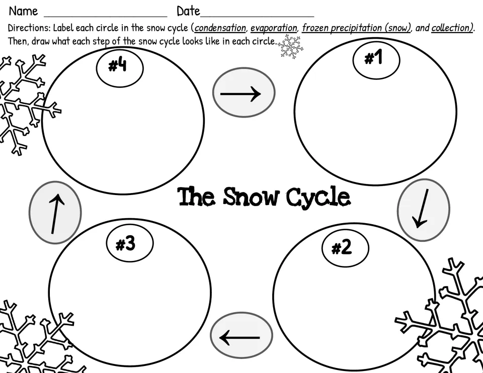 Numbered snow cycle worksheet asking students to label and draw condensation, evaporation, snow, and collection