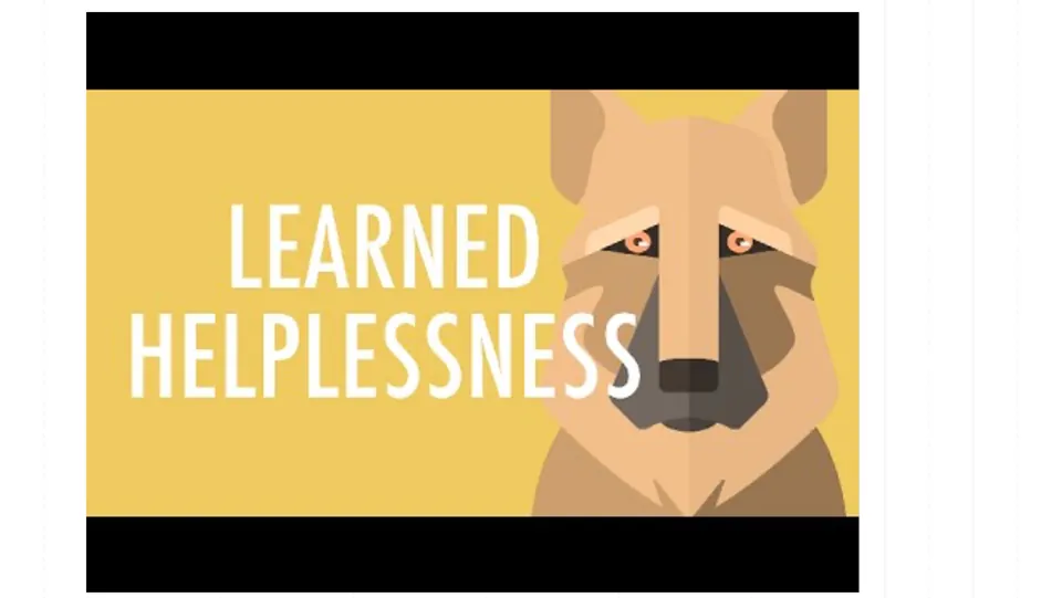 Learned helplessness introductory visual in the personality lecture, showing a dog beside the topic title
