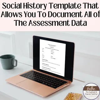 Social Developmental Study Form For Social Workers With Data Assessmen – preview 1
