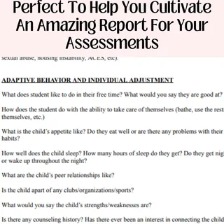 Social Developmental Study Form For Social Workers With Data Assessmen – preview 2