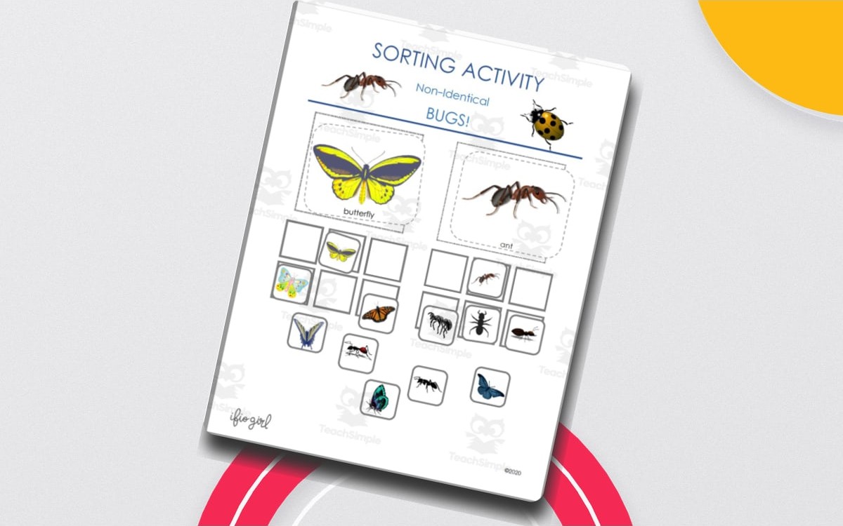 Sorting Bugs Activity – Ladybugs vs. Butterflies preview: Title page