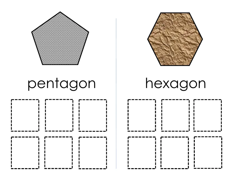 Pentagon and hexagon mats: students sort six pentagons and six hexagons with different textures onto the labeled models