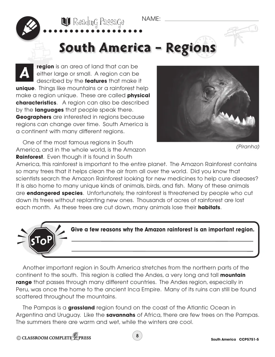 Reading passage on South American regions: the Amazon Rainforest, Andes and Pampas, plus a stop-and-answer question
