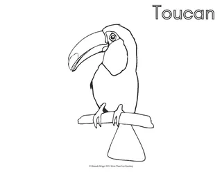South American Animals Coloring Pages – sample page 3