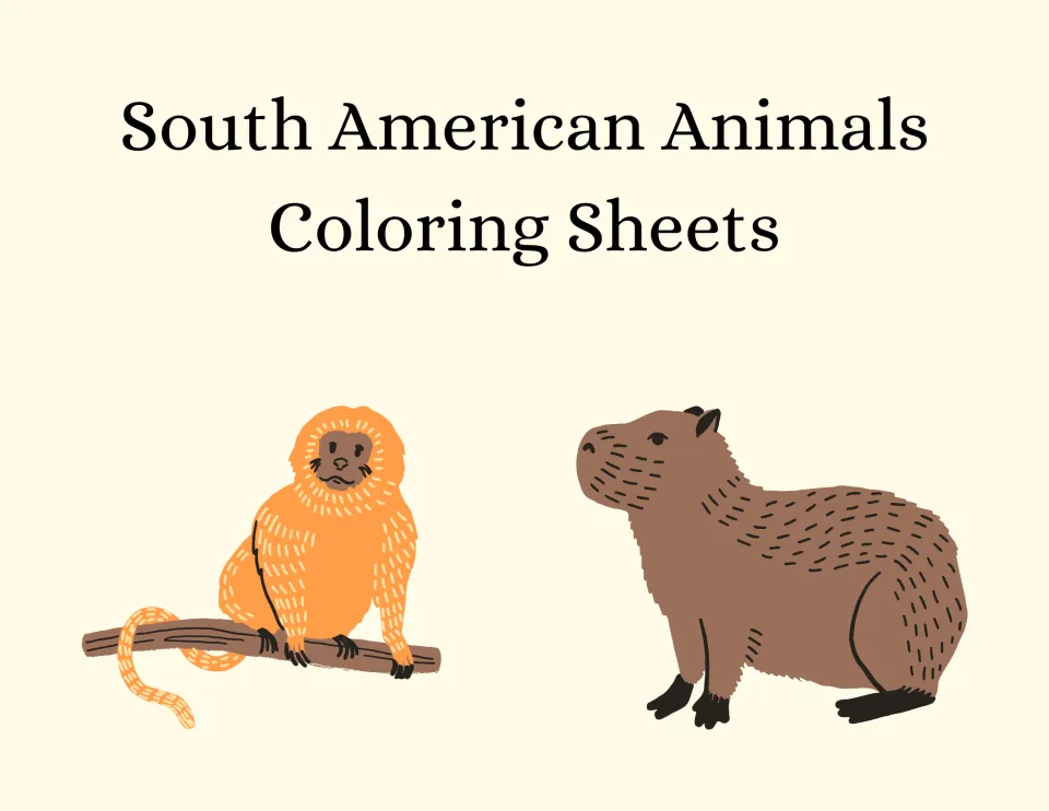 South American Animals Coloring Sheets cover showing a golden lion tamarin on a branch beside a capybara