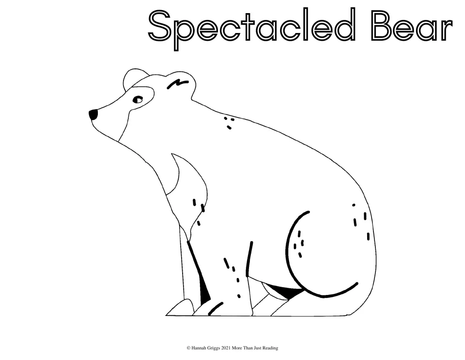 Spectacled bear coloring page: students color a simple line drawing of a sitting bear with a face marking around its eye