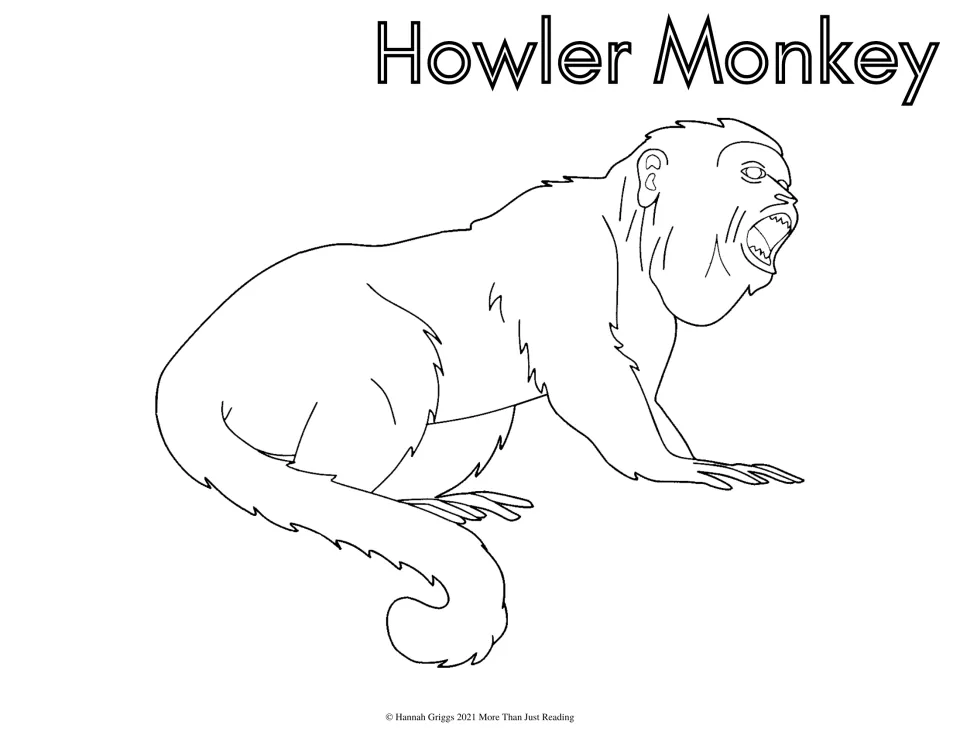 Howler monkey coloring page: students color a line drawing of a monkey on all fours with its mouth wide open mid-howl